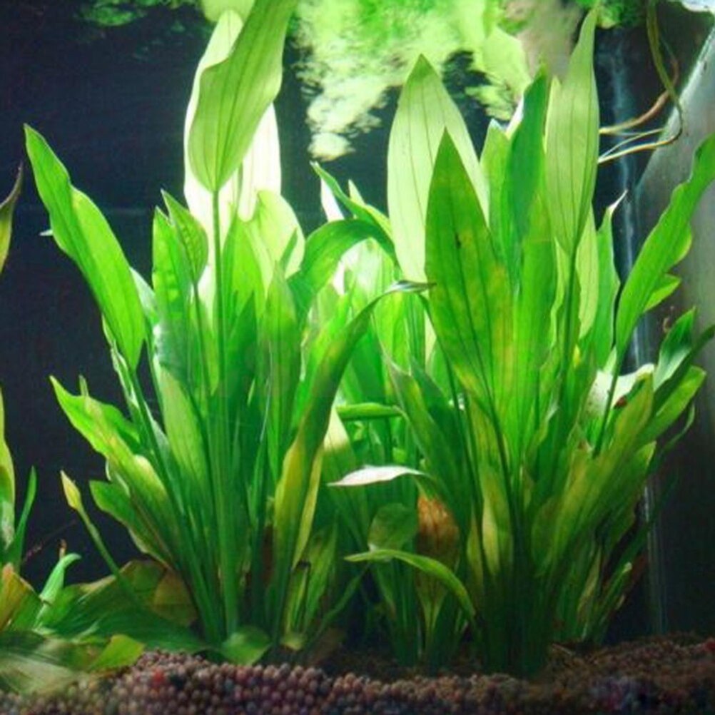 Marine Aquarium Hobby - 15 см искусственный декор для аквариума