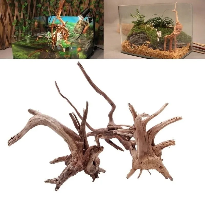 Натуральный ствол дерева Drift – обзор и цена Marine Aquarium For Sale