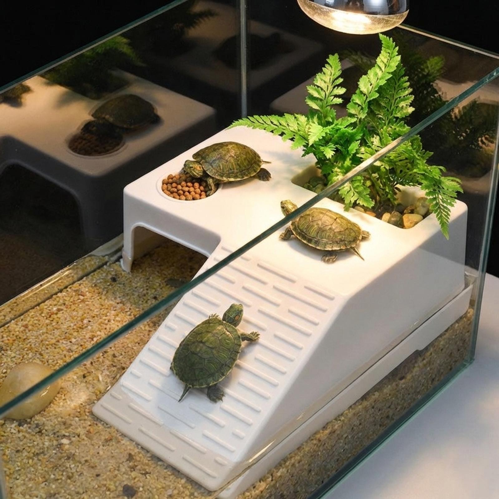 Платформа для отдыха и загара  – обзор и цена Marine Aquarium Hobby