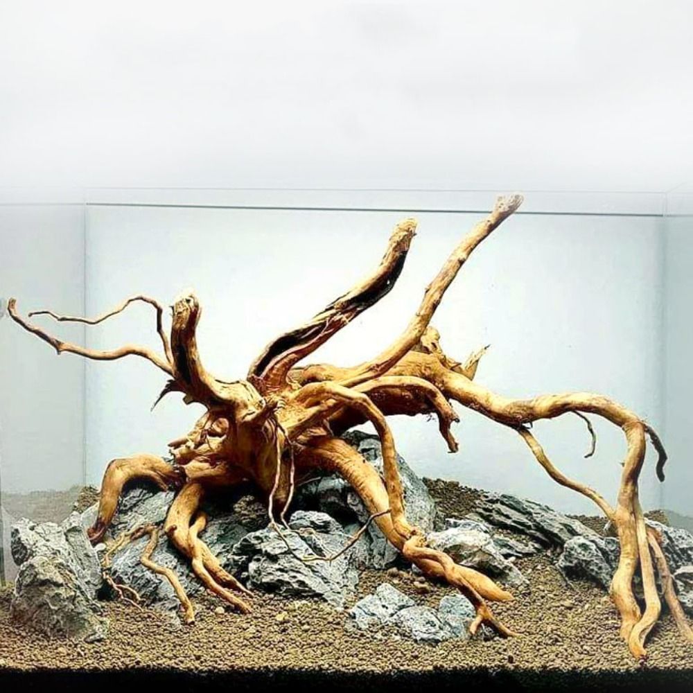 Натуральный ствол дерева, аква – обзор и цена Marine Aquarium Hobby