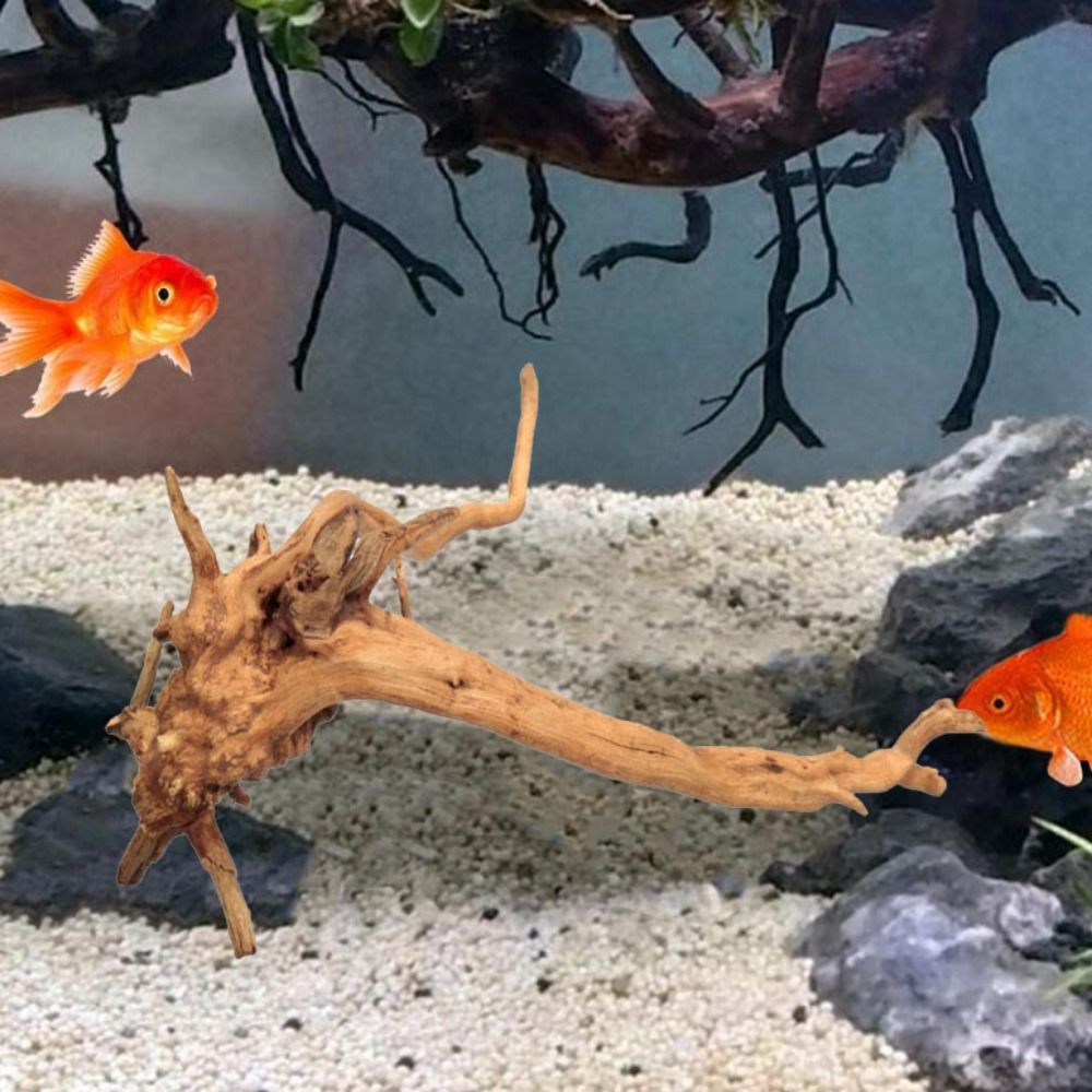 Натуральный ствол дерева, аква – обзор и цена Marine Aquarium Hobby
