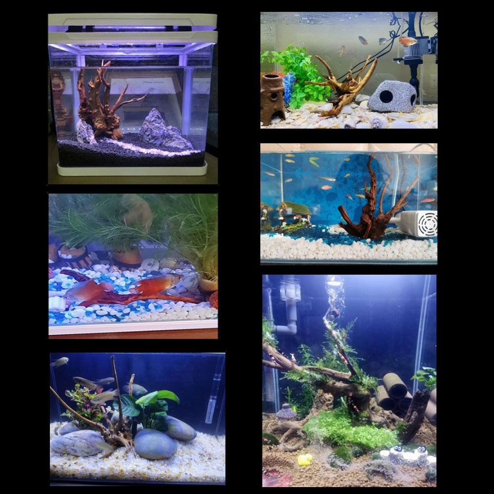 Натуральный ствол дерева, аква – обзор и цена Marine Aquarium Hobby