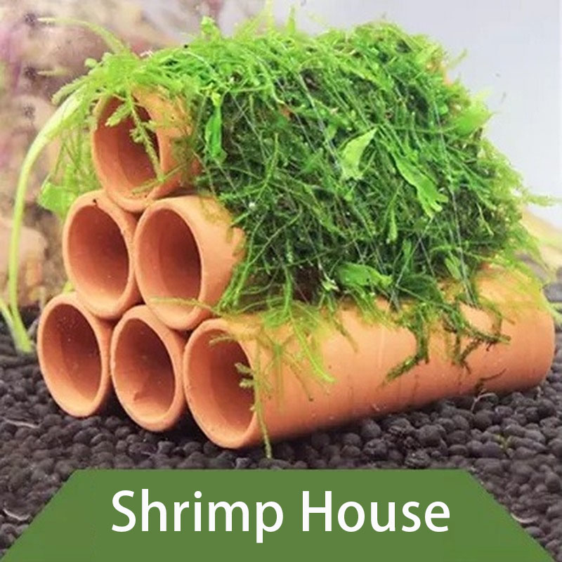 Глиняное украшение для аквариу – обзор и цена Marine Aquarium For Sale