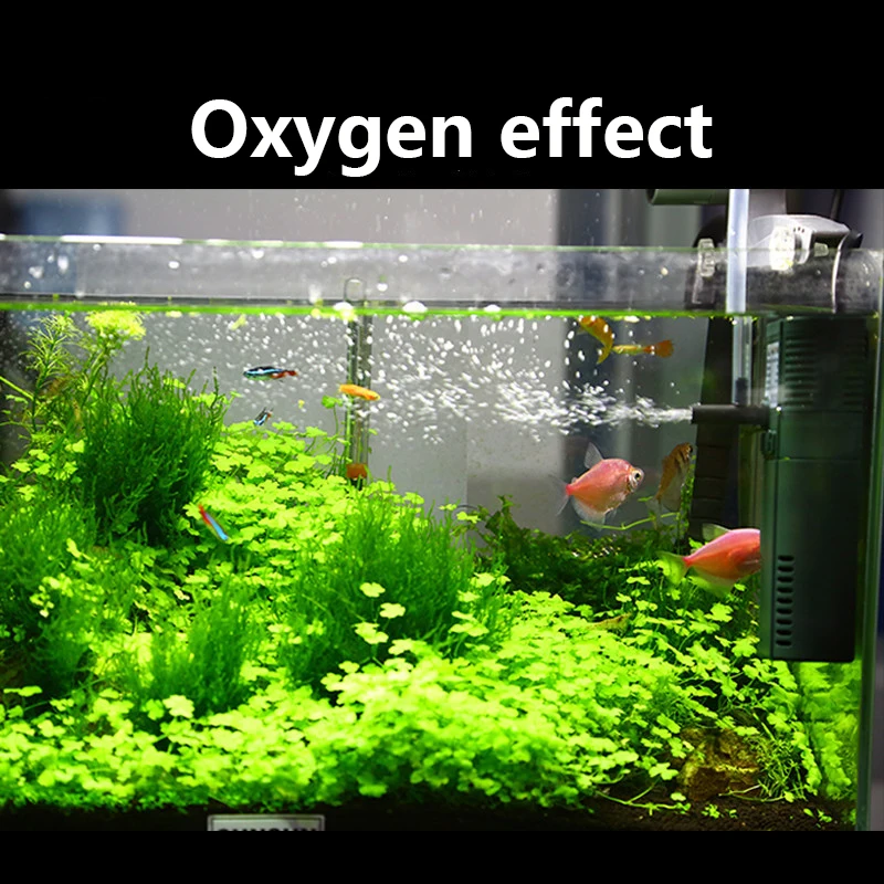 SUNSUN mini nano 111B 311B 611 – обзор и цена Marine Aquarium Hardscape